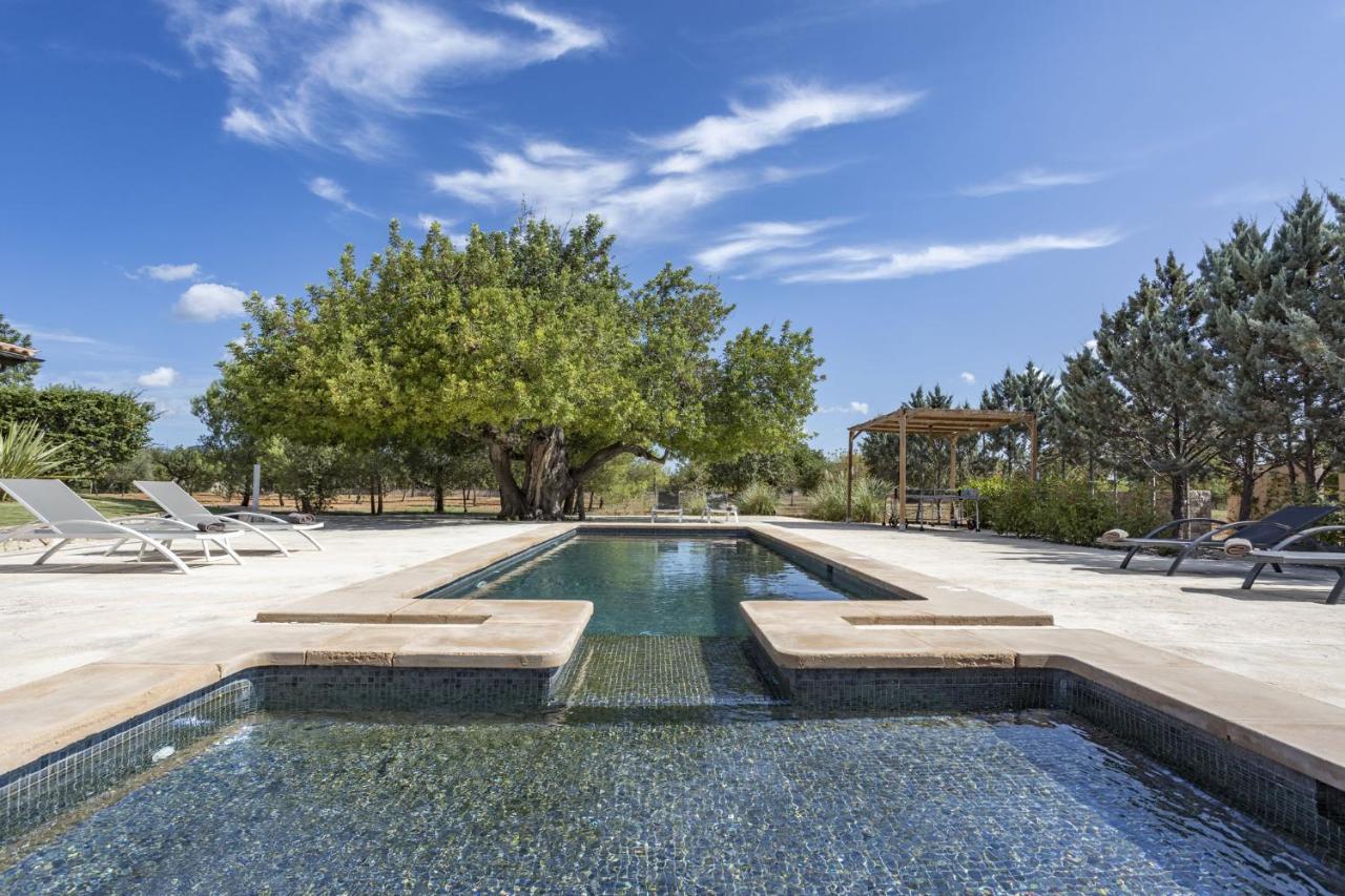 Villa Es Triquet Family 比尼萨勒姆 外观 照片